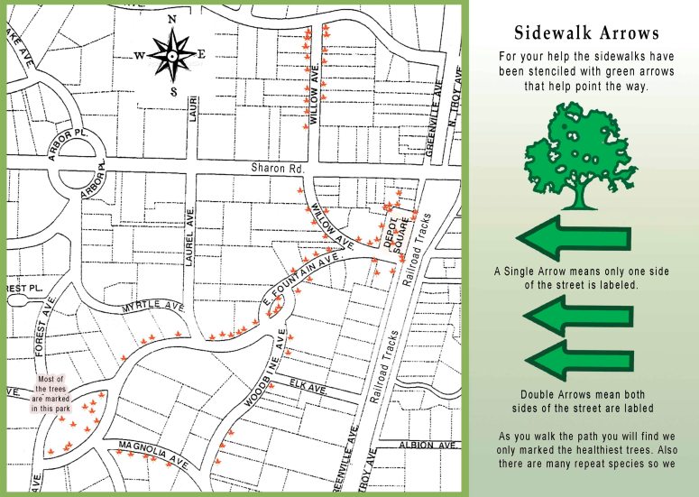 Tree Walk